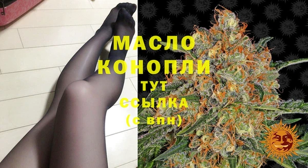 хмурый Арсеньев