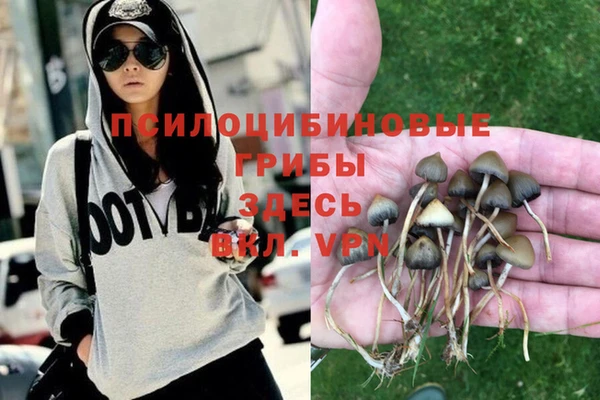 хмурый Арсеньев