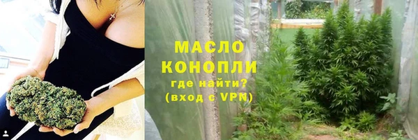 хмурый Арсеньев