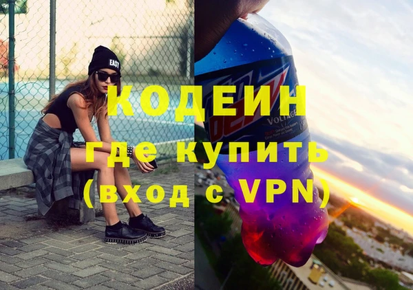 хмурый Арсеньев