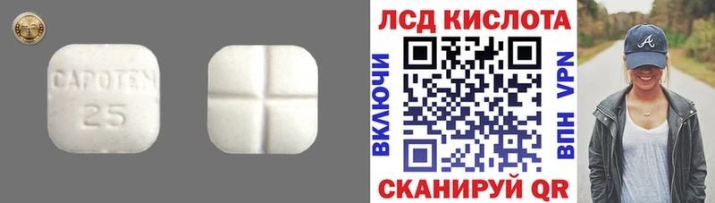 дарнет шоп  Малоярославец  Лсд 25 экстази ecstasy 